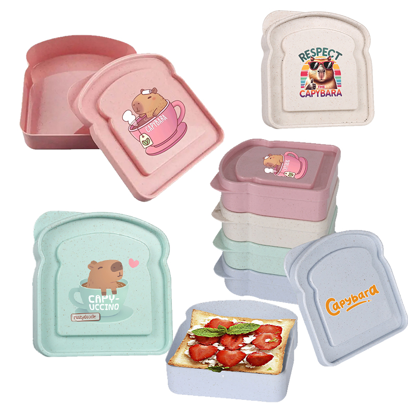 كابيبارا ساندويتش الغذاء حقيبة - مراجعة Food Storage Box Plastic وسعره
