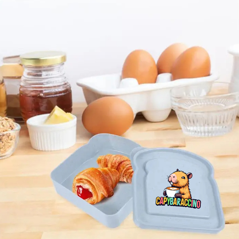 كابيبارا ساندويتش الغذاء حقيبة - مراجعة Food Storage Box Plastic وسعره