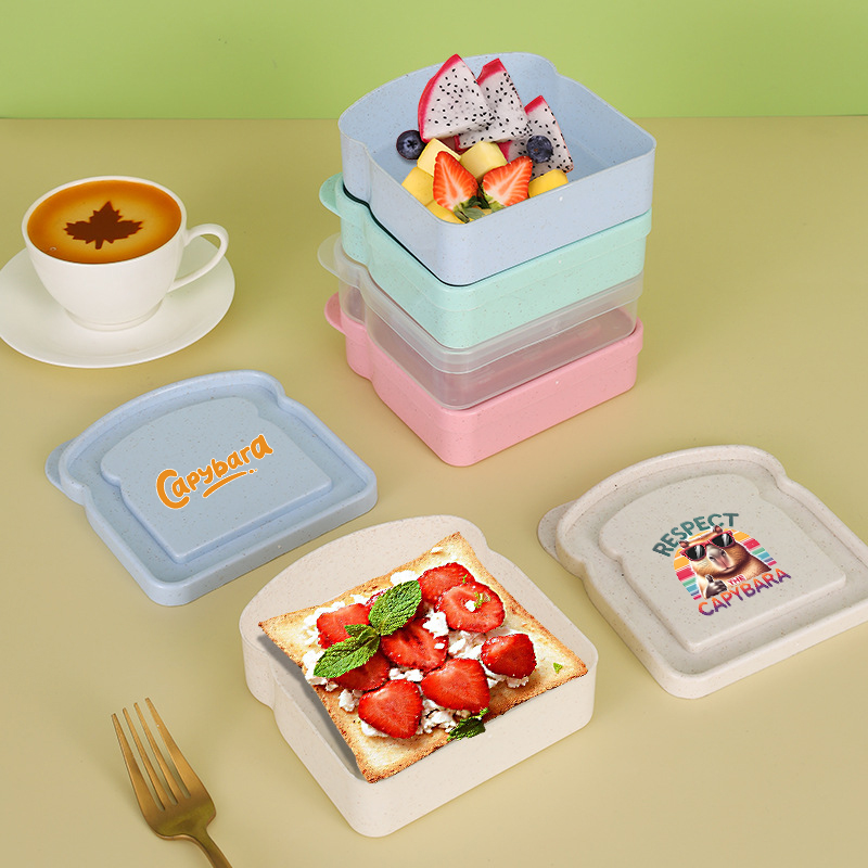 كابيبارا ساندويتش الغذاء حقيبة - مراجعة Food Storage Box Plastic وسعره
