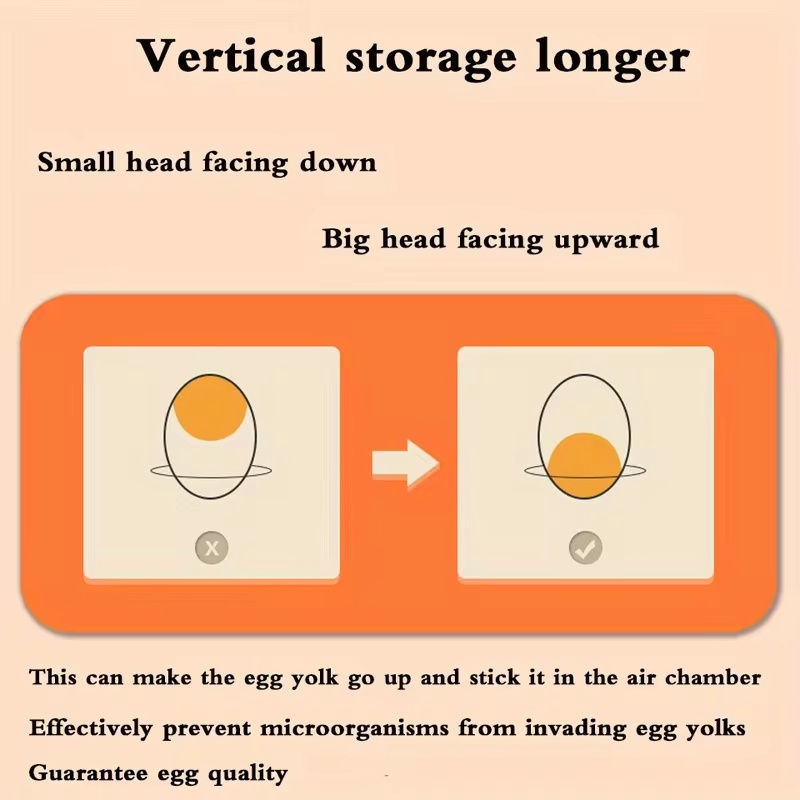 حاوية بلاستيكية لتخزين البيض ذ - مراجعة Food Storage Eggs وسعره